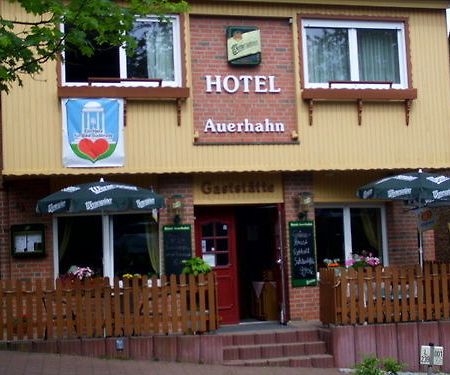 Auerhahn Hotel Bad Suderode Exterior photo