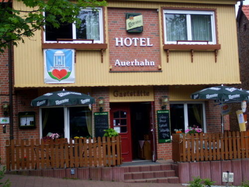 Auerhahn Hotel Bad Suderode Exterior photo